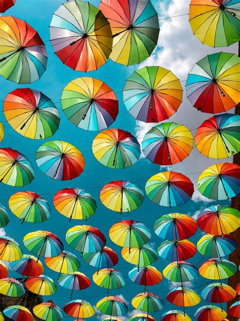 Pexels Photo Gratuite Collection