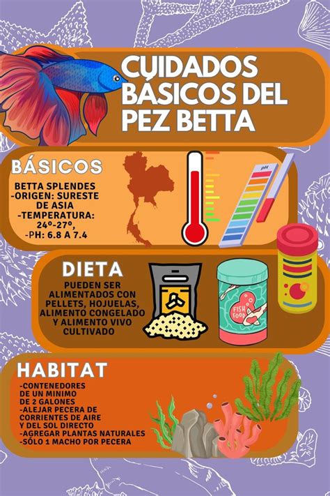 Pez Betta Cuidados