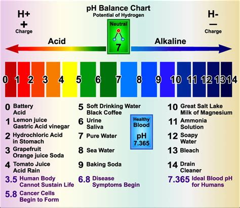 Unlocking the Secret to a Happier, Healthier You: Reclaim Your Balance with Essential pH Tips for Women