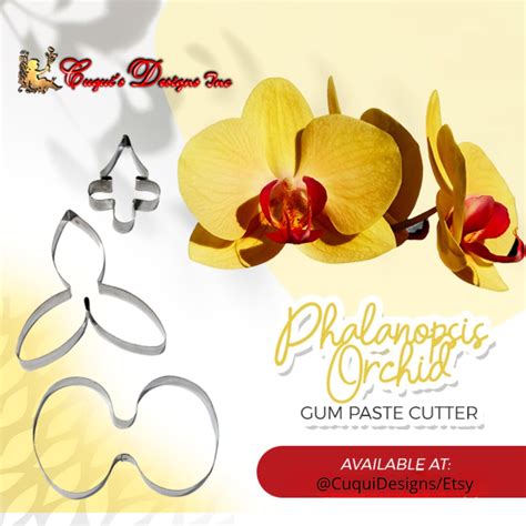 Phalaenopsis Orchid Gumpaste Cutter