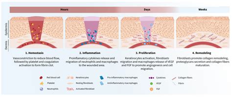 Phase 1: Managing Active Inflammation