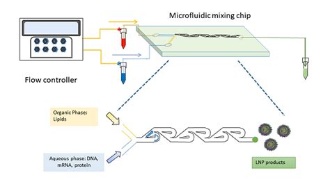 Phase 2: Mixing the Core Solutions