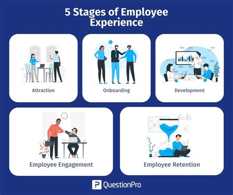 Phase 3: Gaining Essential Work Experience