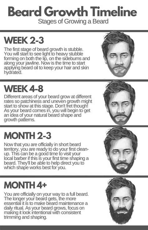 Phases of Beard Growth