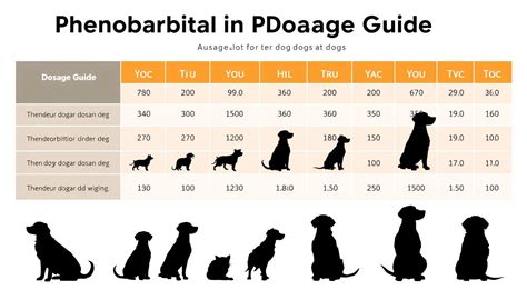 Phenobarbital Dosage For Dogs With Seizures Chart