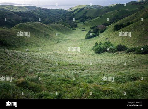 Philippines grasslands