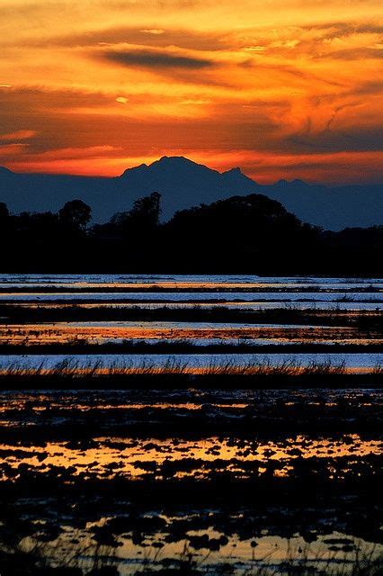 Philippines wetlands