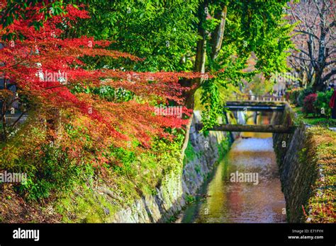 Philosopher's Path Autumn Kyoto