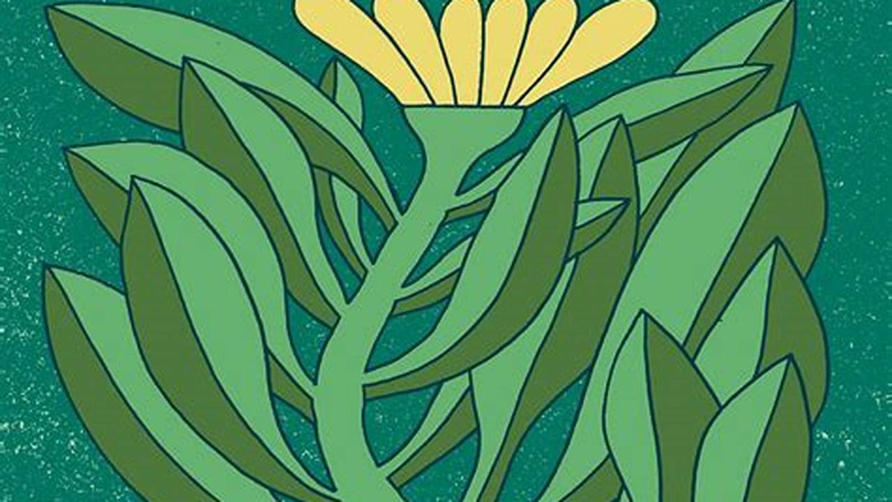 Phish Benefit Concert 2025