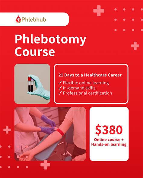 Phlebotomy Jobs The Ultimate Guide for Beginners