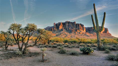 Phoenix Arizona Landscape
