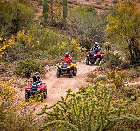 Phoenix Saturday activities