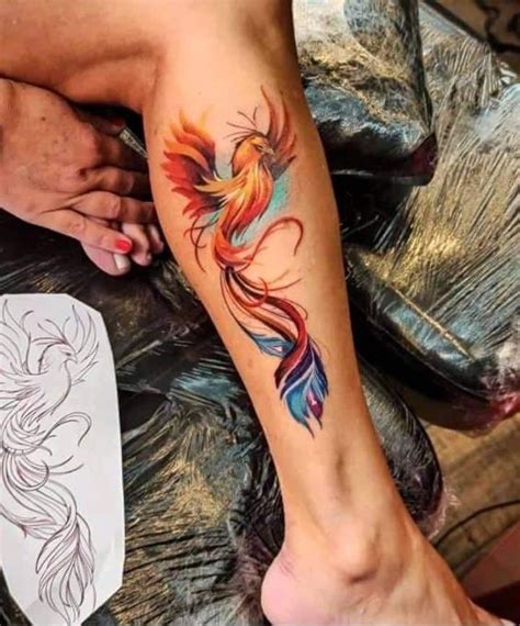 Phoenix Tattoo Colored