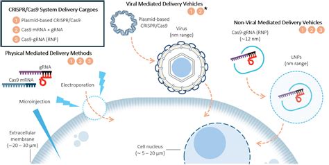 Photo Delivery and Editing