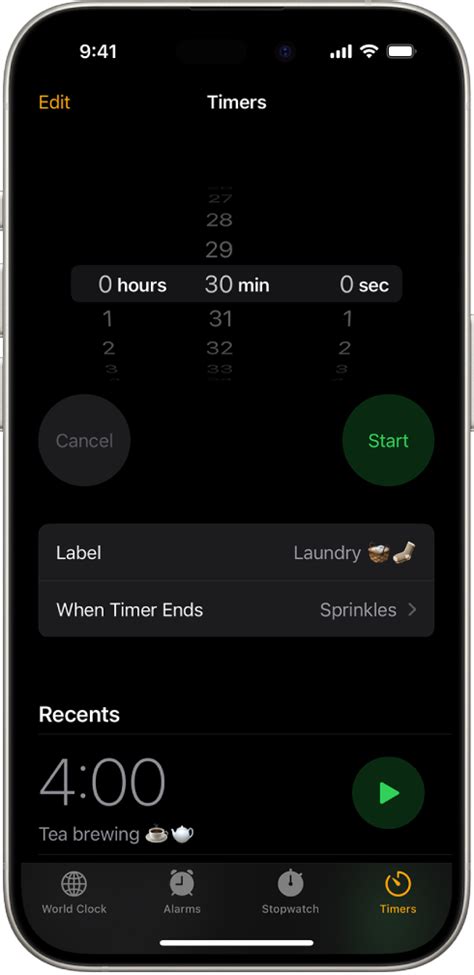 Master the Art of Selfies with Our Picture Perfect Photo Timer for iPhone