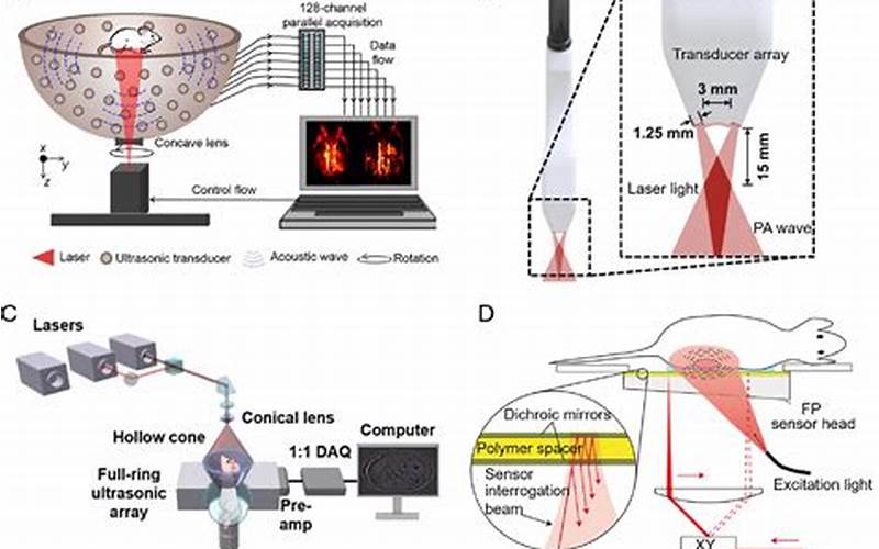 Photoacoustic Tomography: Combining Light And Sound For Deep Tissue Imaging