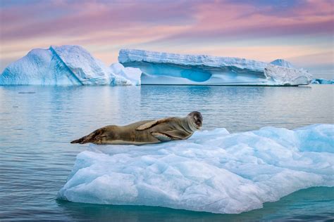 Photograph Responsibly