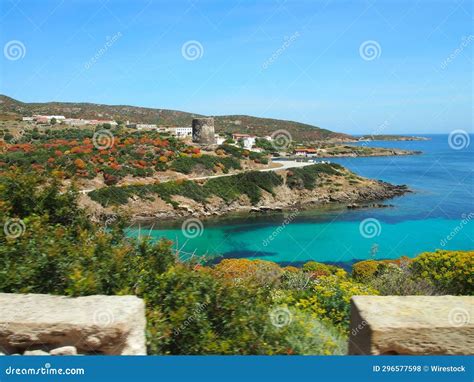 Photographing Asinara Beauty