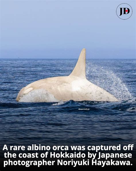 Photographing Extraordinary