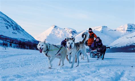 Photographing Husky Sledding