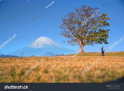 Photographing Mount Fuji