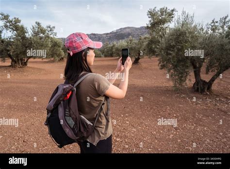 Photographing Olive Trees