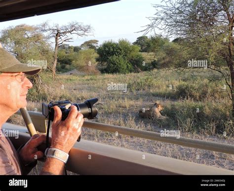 Photographing Safari Moments