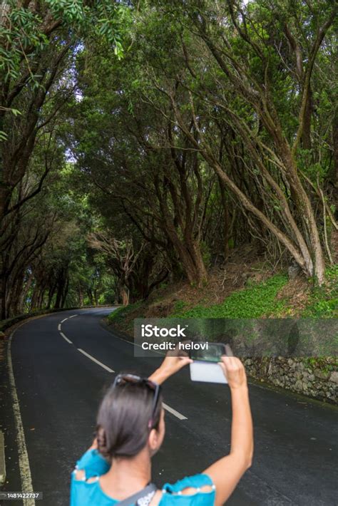 Photographing laurel forest