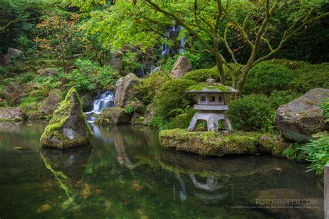 Photography Japanese Garden