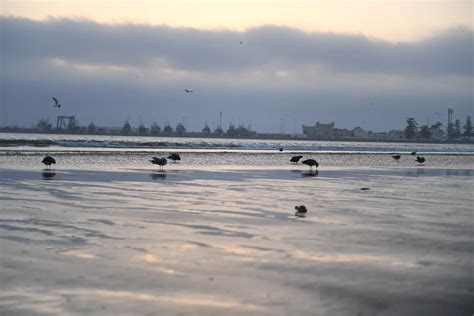 Photography Tips Essaouira
