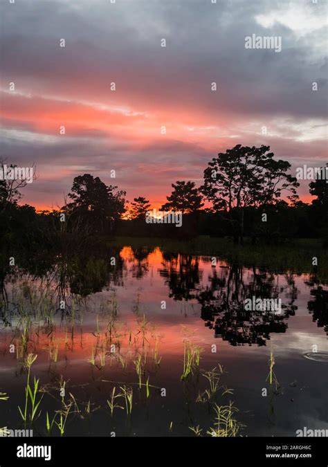 Photography Tips Pacaya Samiria