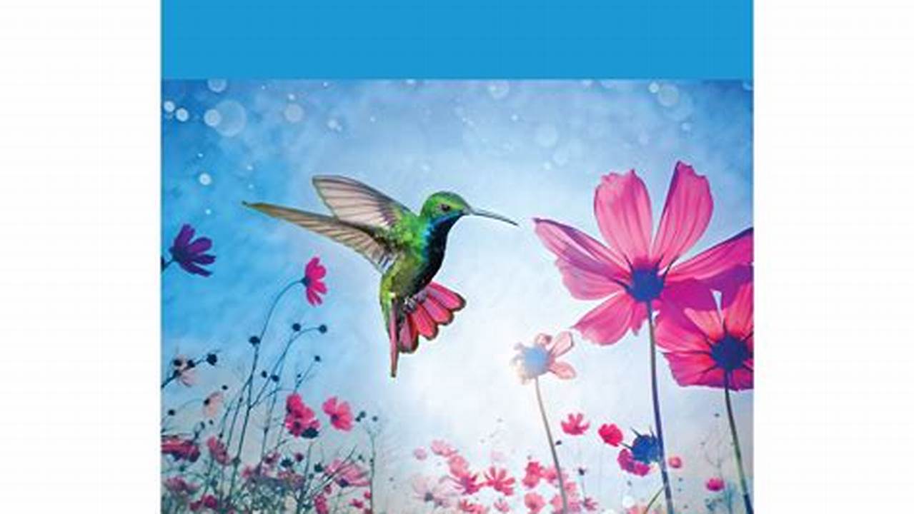 Photoshop Elements 2024 Tutorial Expert