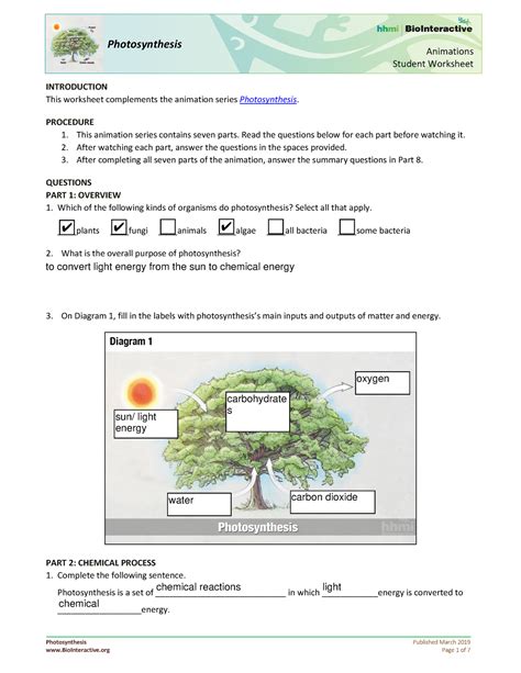 Photosynthesis Animations Student Worksheet