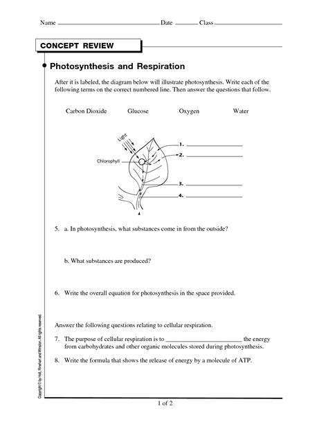 Photosynthesis Diagram Worksheet Answer Key