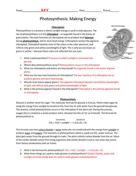 Photosynthesis Making Energy Worksheet Answer