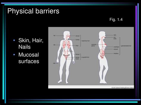 Physical Barriers and Fill Material