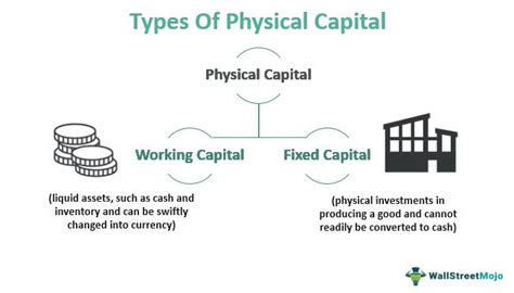 Maximizing Economic Growth: Understanding the Definition and Importance of Physical Capital in Economics