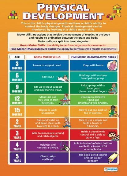 Physical Development Chart