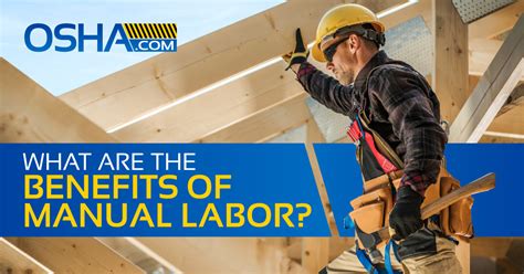 Physical Removal Methods (The Manual Labor Route)