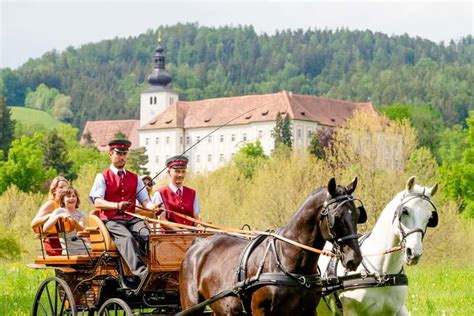 Piber Stud Farm Tour Options