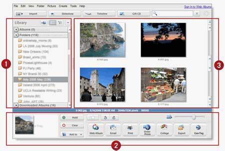 Picasa Interface