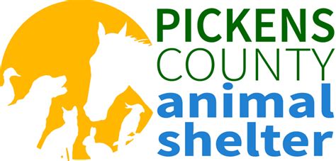 Discover Pickens County Animal Control in South Carolina: Your Go-To for Top-Notch Animal Care Services