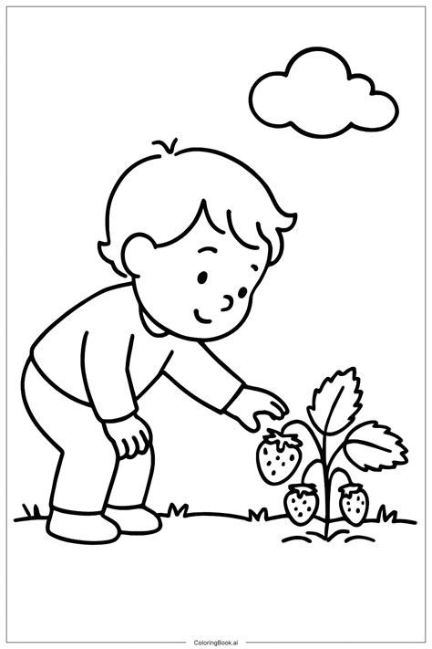 Picking the Perfect Coloring Book