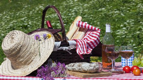 Picnic Etiquette