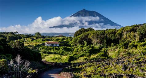 Pico Island Volcanic Landscape