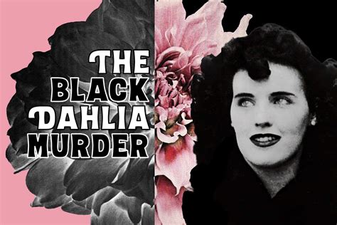 Pics Of The Black Dahlia