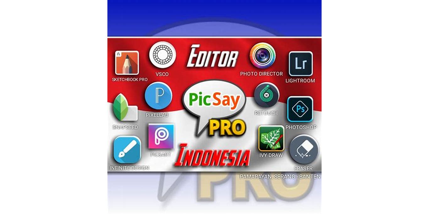 Picsay Pro