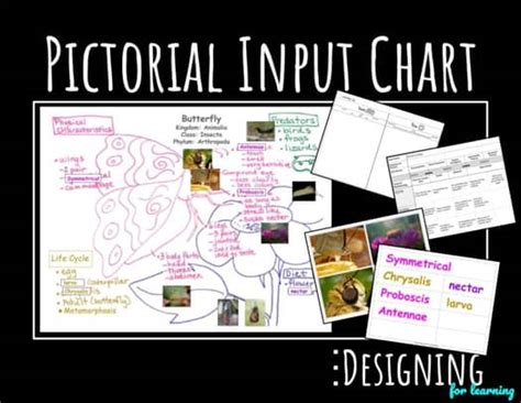 Pictorial Input Chart