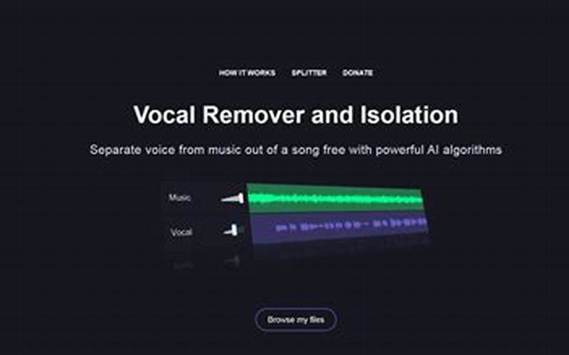 Picture Of Limitations Of Vocal Removers