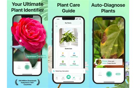 PictureThis Plant Identification App
